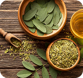 Fresh neem leaves and ground herbs in wooden bowls